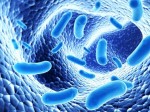 Lợi khuẩn Bifidobacterium hỗ trợ cho người viêm đại tràng như thế nào?